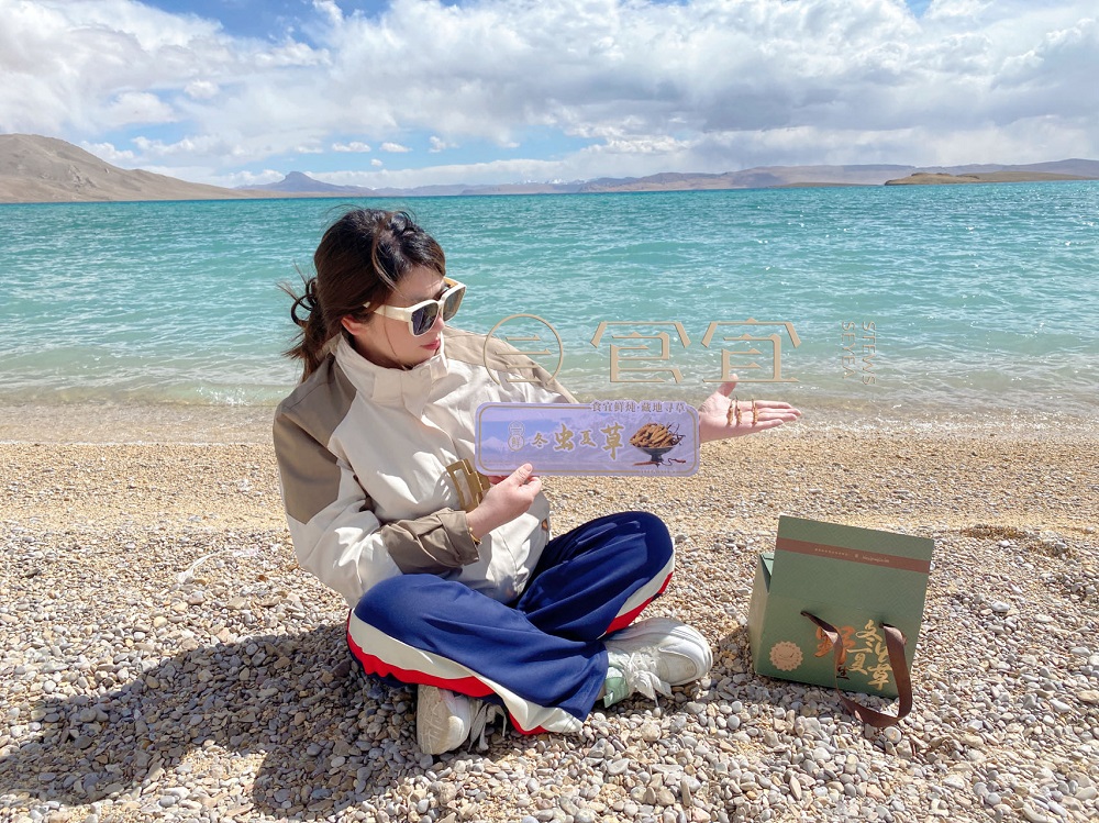 一生必打卡的地方——西藏  一年很值得的藏鲜虫草 仅在5-6月